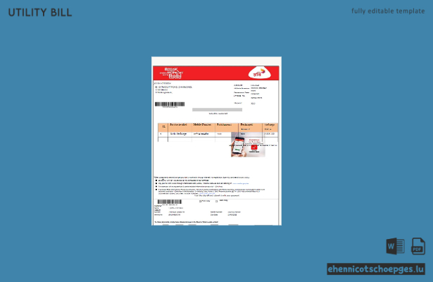 Beispiel einer Stromrechnung von Robi Axiata Limited in Bangladesch (Vorschau)